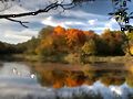 Ausrapole Lake Kongra.jpg